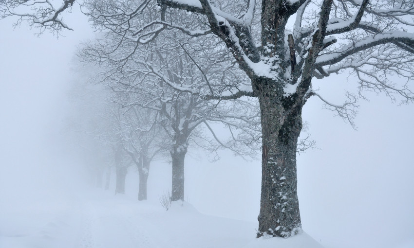В ближайшие дни Запорожье накроет обложной снег и замерзающий туман