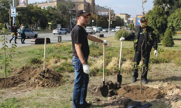 В Запорожье высадят деревьев на 5 миллионов гривен