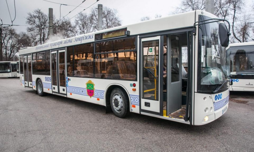 В Запорожье планируют из центра пустить автобусы к аэропорту