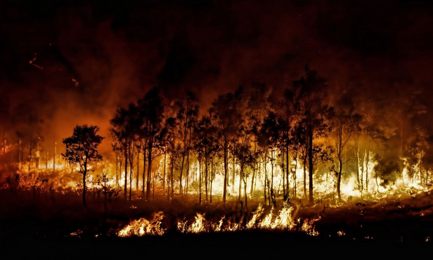 Под Запорожьем огонь уничтожает гектары природы