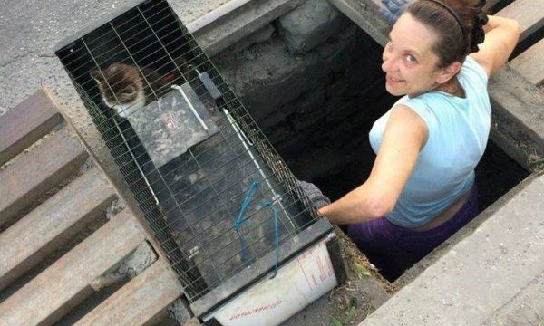 В Запорожье спасали животное из ливневки (ФОТО)